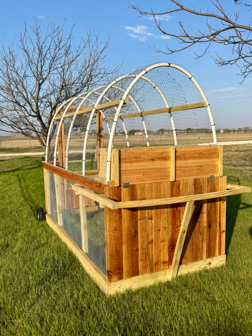 Chicken Coop